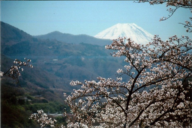 富士川町から見る富士山